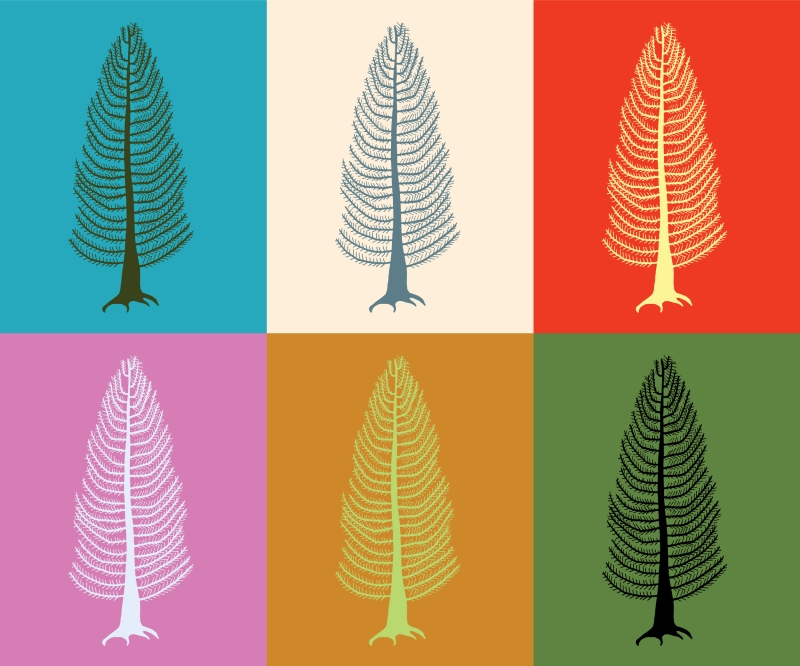 Custom Colour Cedar Tree Illustration - Digital Art Download - Wall Prints by Brina Schenk at Annex Collections